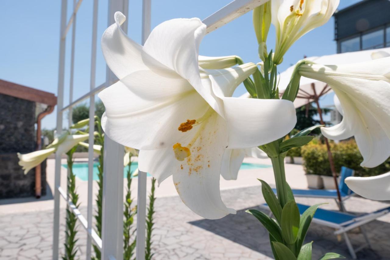Lux Suite Sicily Mascalucia Dış mekan fotoğraf